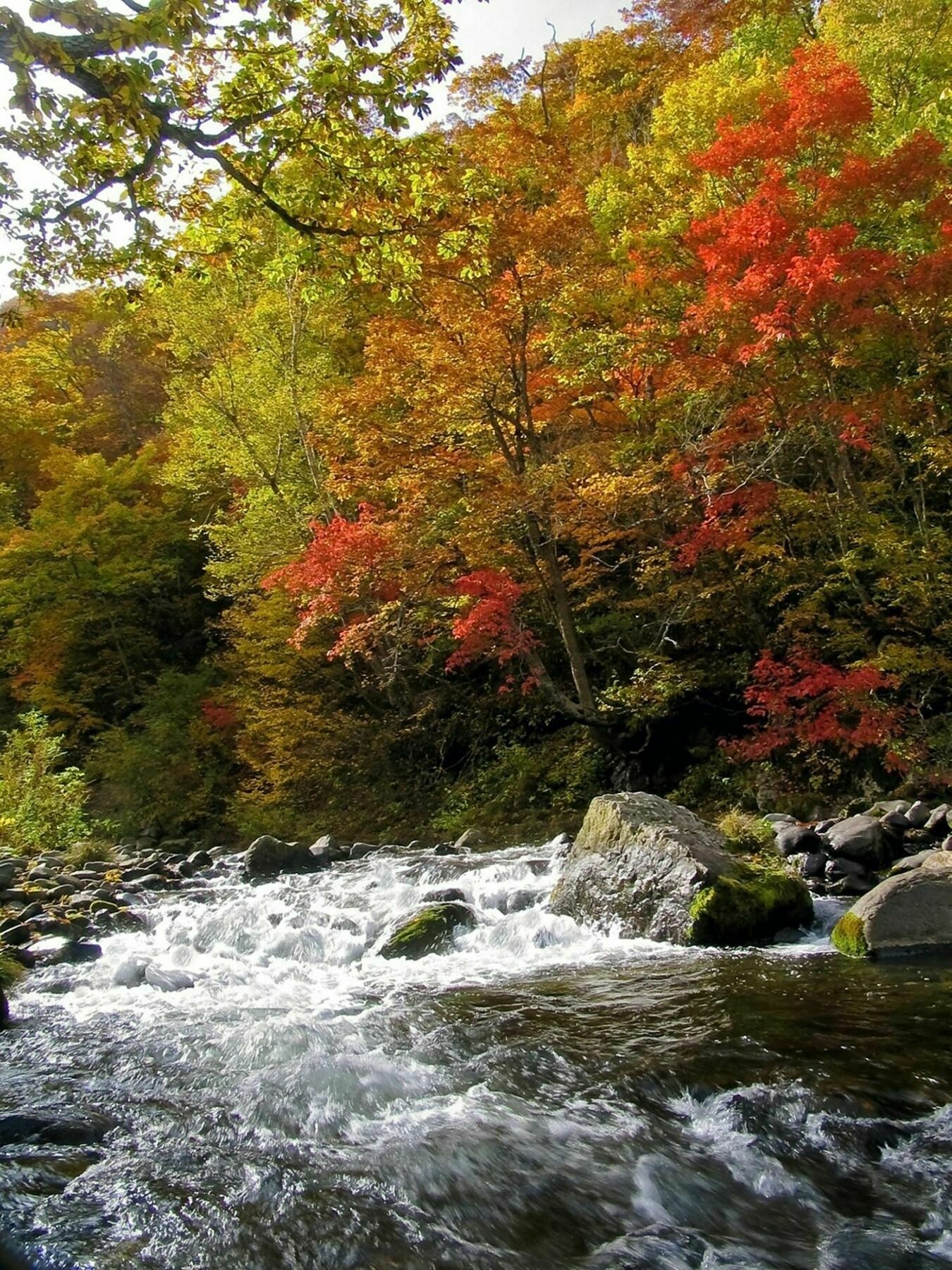Kidoike Onsen Hotel Yamanouchi  Bagian luar foto